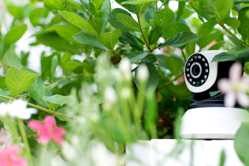 CCTV security camera in plants